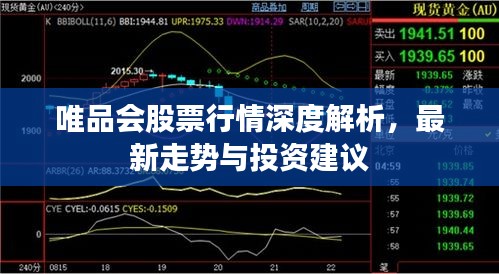 唯品会股票行情深度解析，最新走势与投资建议