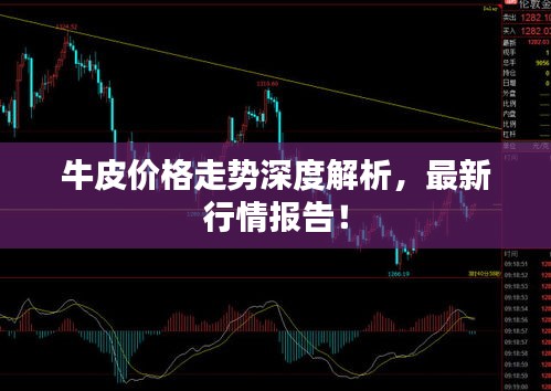 牛皮价格走势深度解析，最新行情报告！