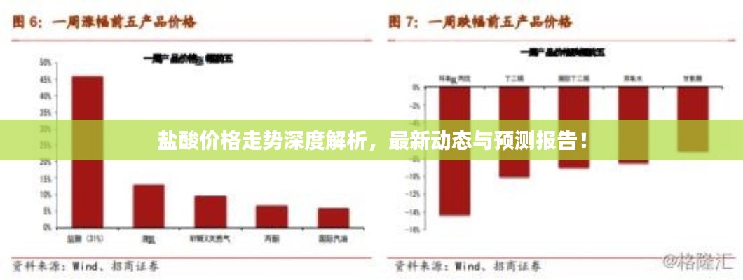 盐酸价格走势深度解析，最新动态与预测报告！