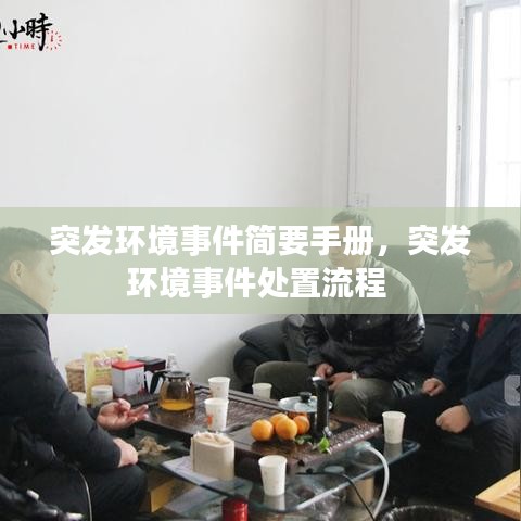 突发环境事件简要手册，突发环境事件处置流程 