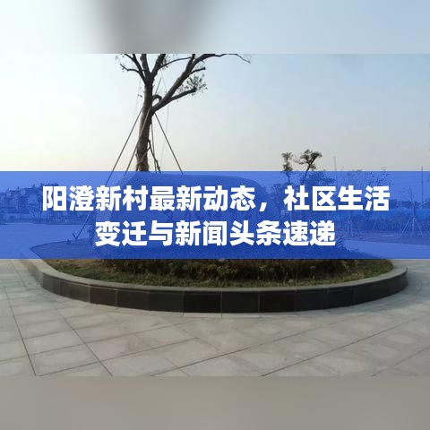 阳澄新村最新动态，社区生活变迁与新闻头条速递