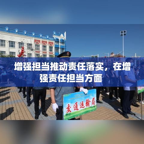 增强担当推动责任落实，在增强责任担当方面 