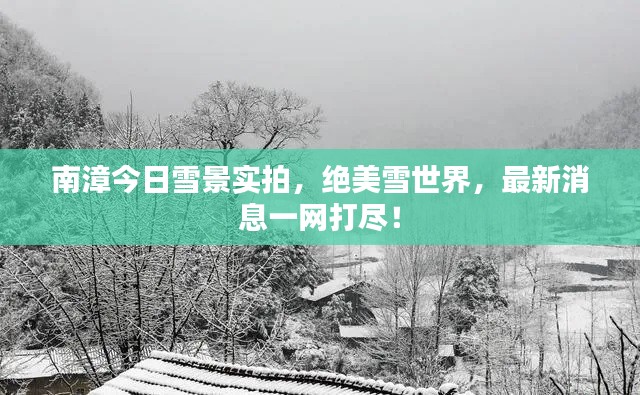 南漳今日雪景实拍，绝美雪世界，最新消息一网打尽！