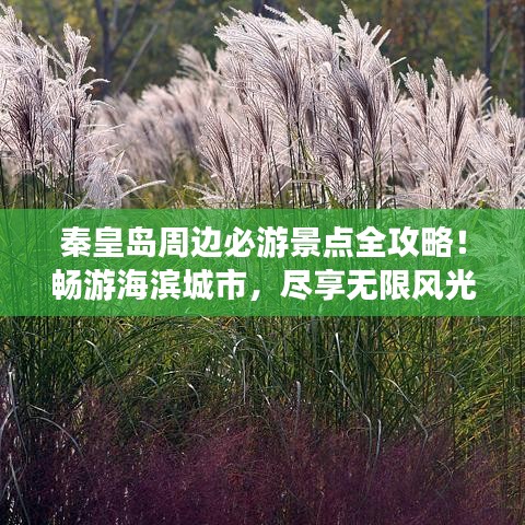 秦皇岛周边必游景点全攻略！畅游海滨城市，尽享无限风光