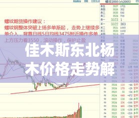 佳木斯东北杨木价格走势解析，最新行情一览