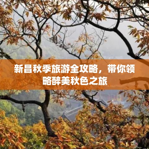 新昌秋季旅游全攻略，带你领略醉美秋色之旅