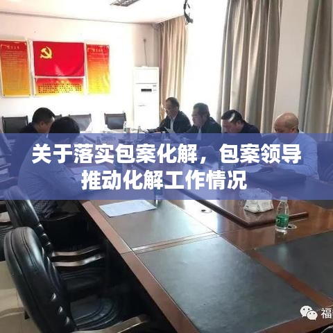 关于落实包案化解，包案领导推动化解工作情况 