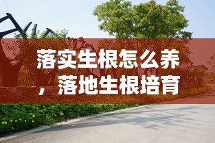 落实生根怎么养，落地生根培育 