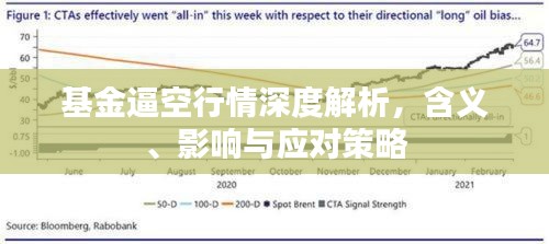 基金逼空行情深度解析，含义、影响与应对策略