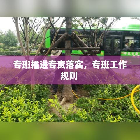 专班推进专责落实，专班工作规则 