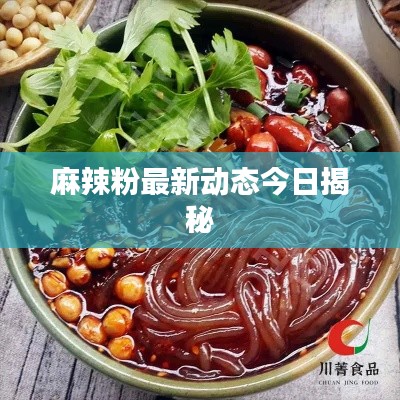 麻辣粉最新动态今日揭秘