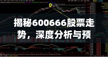 揭秘600666股票走势，深度分析与预测