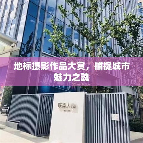 地标摄影作品大赏，捕捉城市魅力之魂