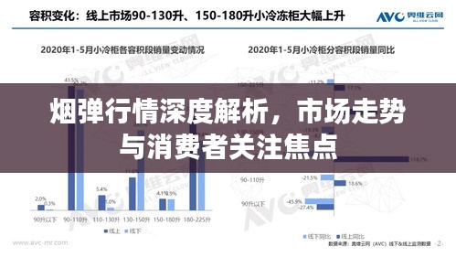 烟弹行情深度解析，市场走势与消费者关注焦点