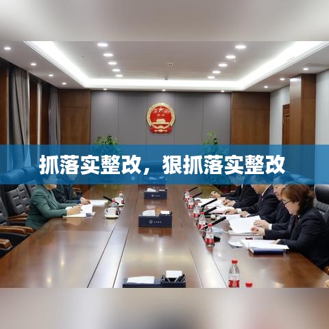 抓落实整改，狠抓落实整改 