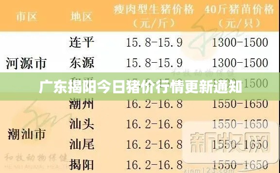 广东揭阳今日猪价行情更新通知