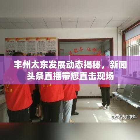 丰州太东发展动态揭秘，新闻头条直播带您直击现场