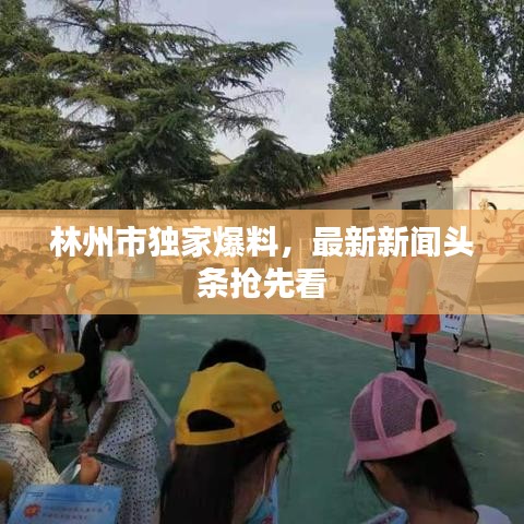 林州市独家爆料，最新新闻头条抢先看