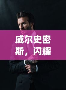 威尔史密斯，闪耀明星的魅力非凡